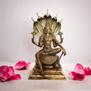 Vishnu Roopam