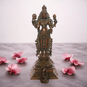 Vishnu Deva
