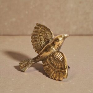 Bird With Open Wings